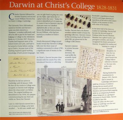 cc01384 Darwin Christs.jpg; cc01384; Darwin at Christ's 1828-1831; poster